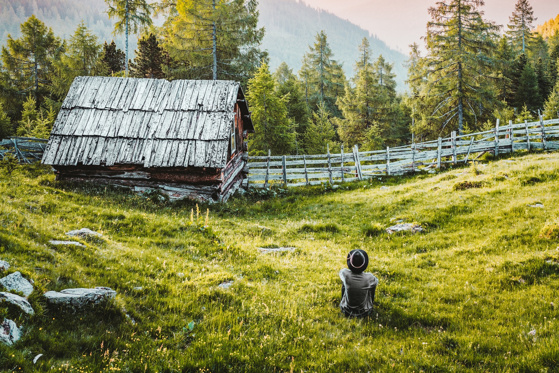 pexels-felix-mittermeier-2832075